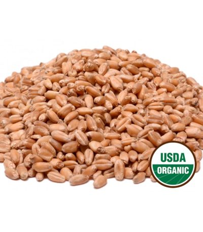 Organic Hard Wheat Kernels