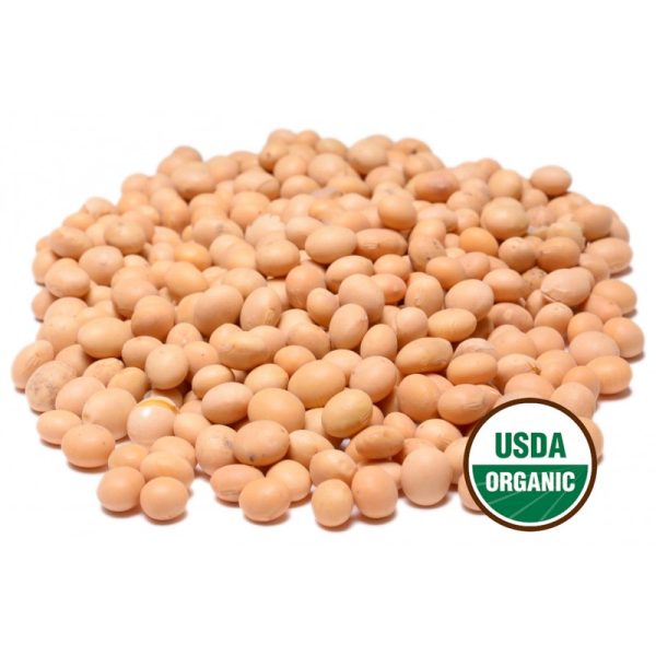 Non GMO Organic Yellow Soy beans are an all natural shelled dried soya bean.