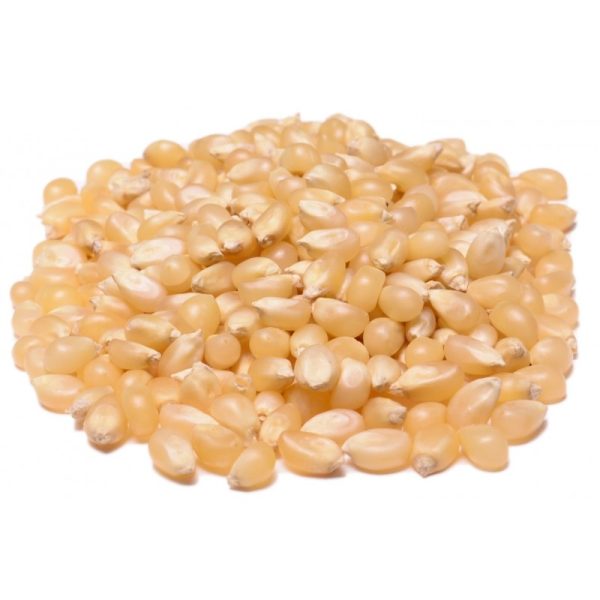White popcorn that is considered hull-less, because of it's thin hull. An all natural premium popcorn seed, ready to pop.